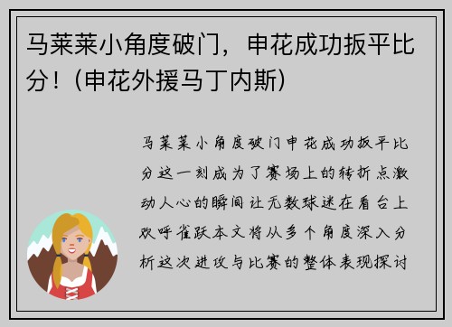 马莱莱小角度破门，申花成功扳平比分！(申花外援马丁内斯)