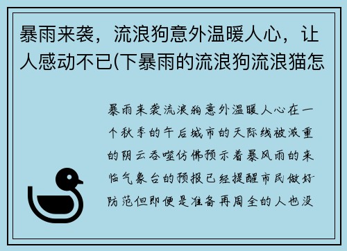 暴雨来袭，流浪狗意外温暖人心，让人感动不已(下暴雨的流浪狗流浪猫怎么办)