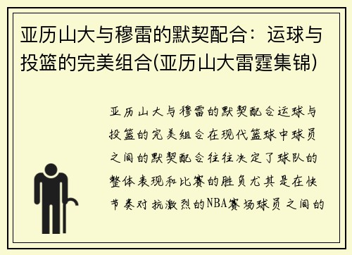 亚历山大与穆雷的默契配合：运球与投篮的完美组合(亚历山大雷霆集锦)