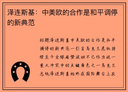 泽连斯基：中美欧的合作是和平调停的新典范