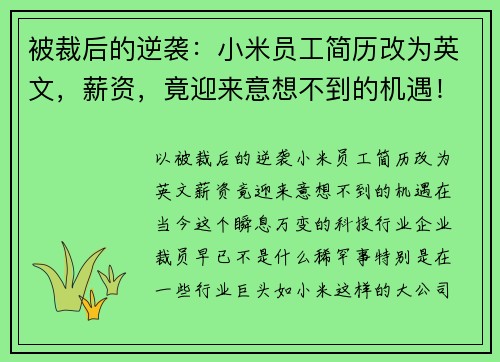 被裁后的逆袭：小米员工简历改为英文，薪资，竟迎来意想不到的机遇！